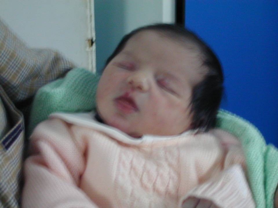 Dscn0033.jpg (45241 byte)