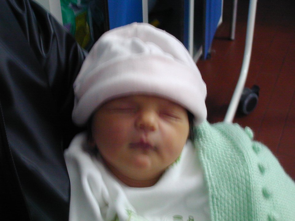 Dscn0070.jpg (84810 byte)