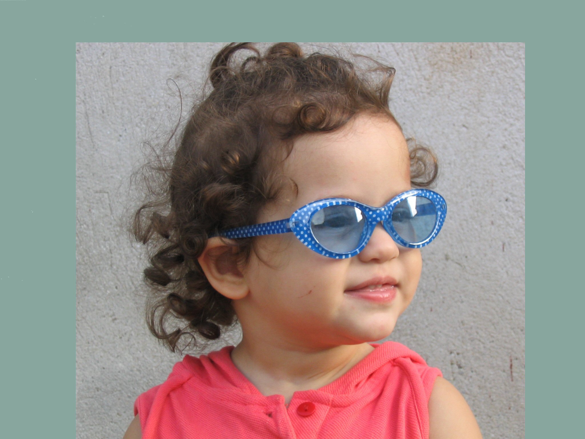 Dscn0084.jpg (49028 byte)