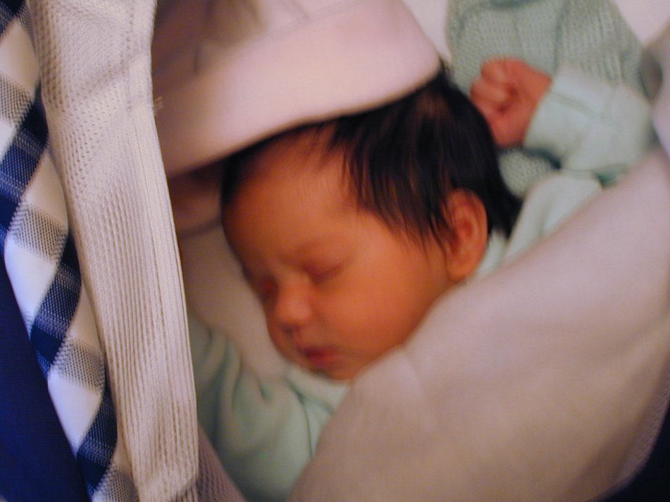 Dscn0085.jpg (80378 byte)