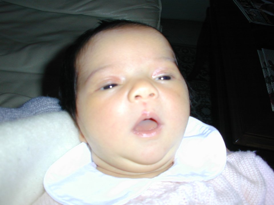 Dscn0089.jpg (64346 byte)