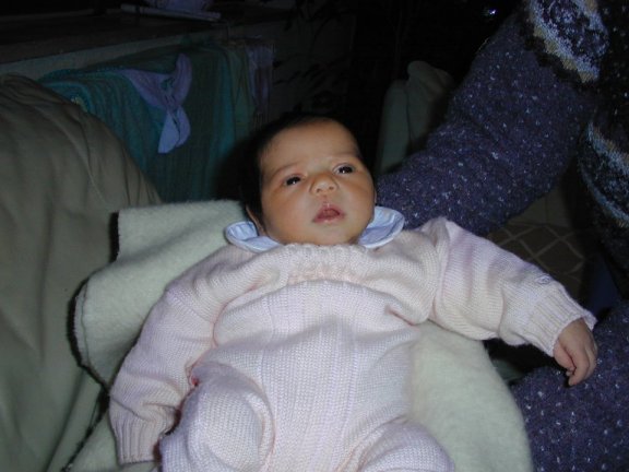 Dscn0090.jpg (42099 byte)