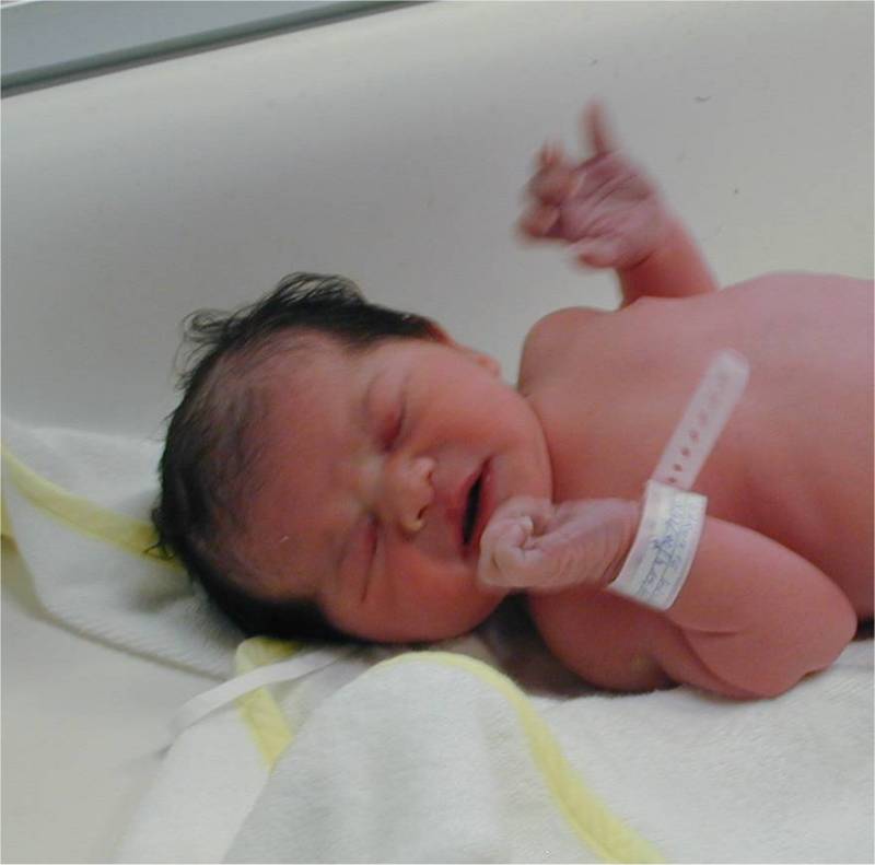 Immagine.jpg (33590 byte)