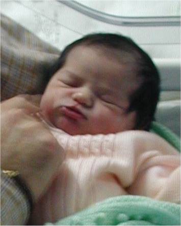 Immagine1.jpg (17631 byte)