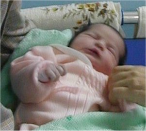 Immagine2.jpg (17799 byte)