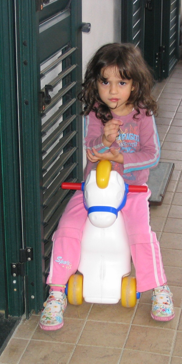 Immagine7.jpg (21471 byte)